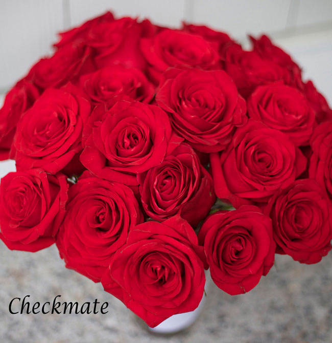 Checkmate-Red-Rose